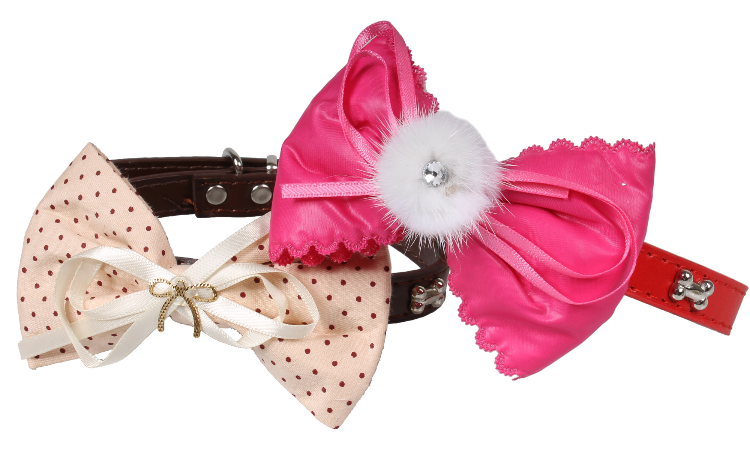 手工珠飾牽引套裝(彩珠)