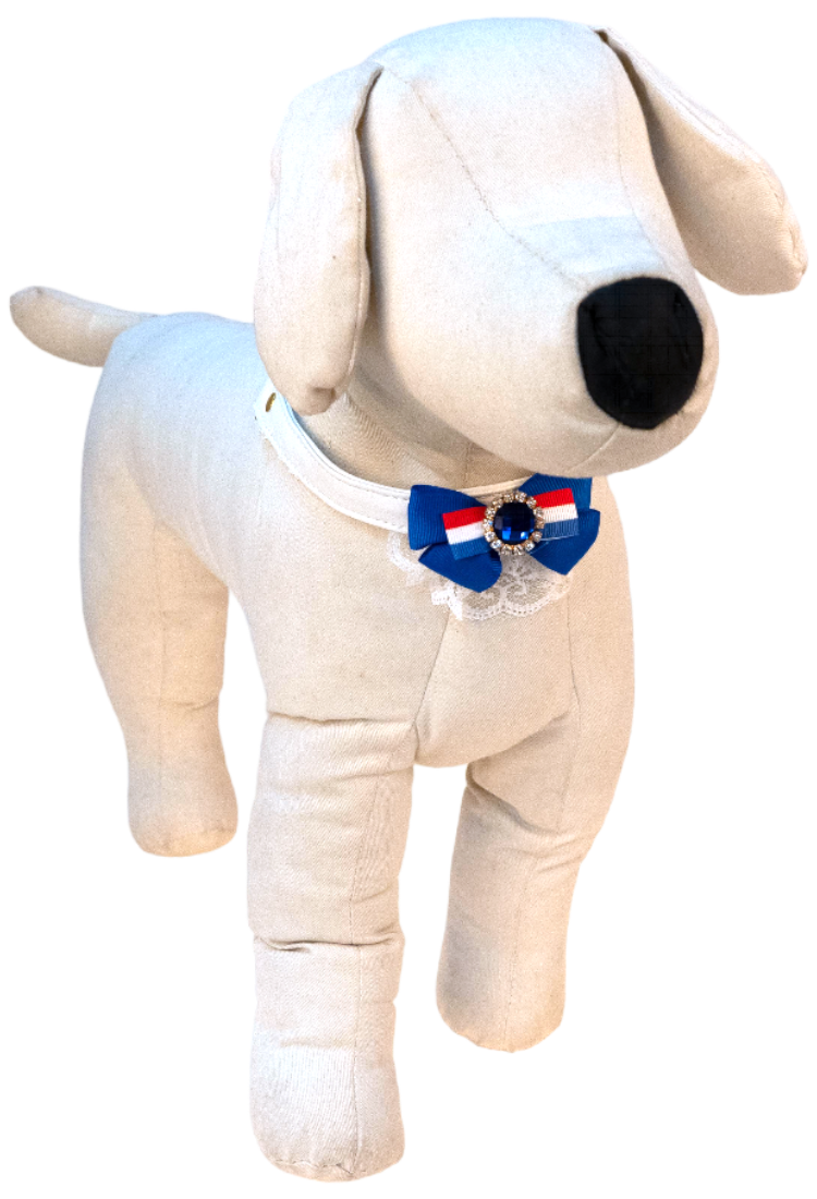 蕾絲蝴蝶半束拉頸套裝