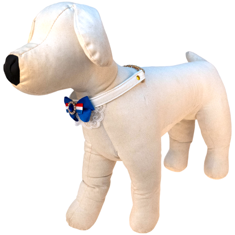 蕾絲蝴蝶半束拉頸套裝