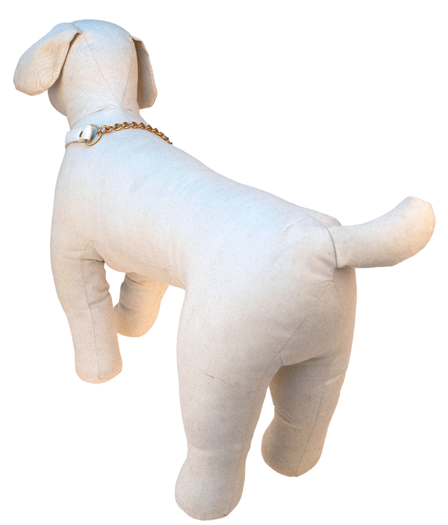 蕾絲蝴蝶半束拉頸套裝