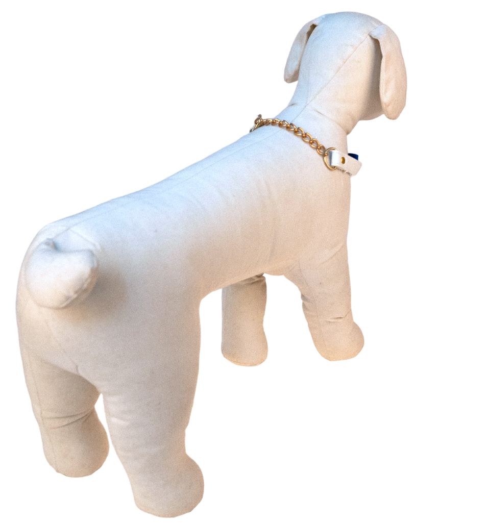 蕾絲蝴蝶半束拉頸套裝