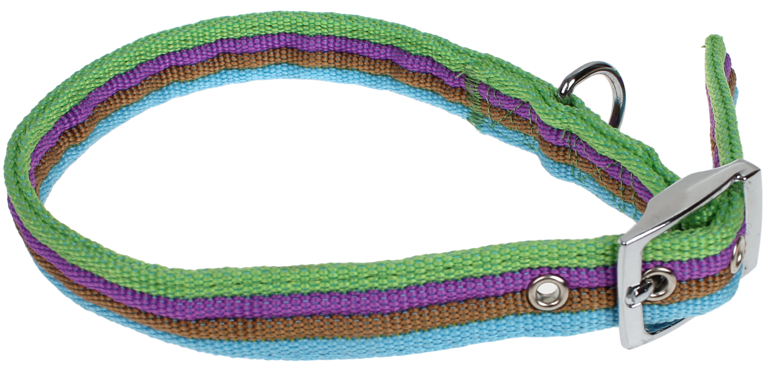 JC 橙彩頸帶(皮扣)