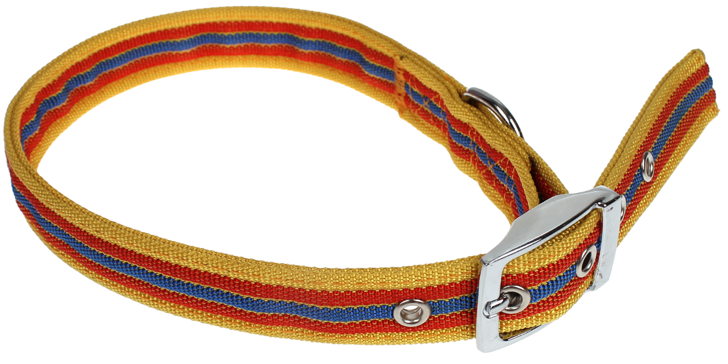 JC 橙彩頸帶(皮扣)