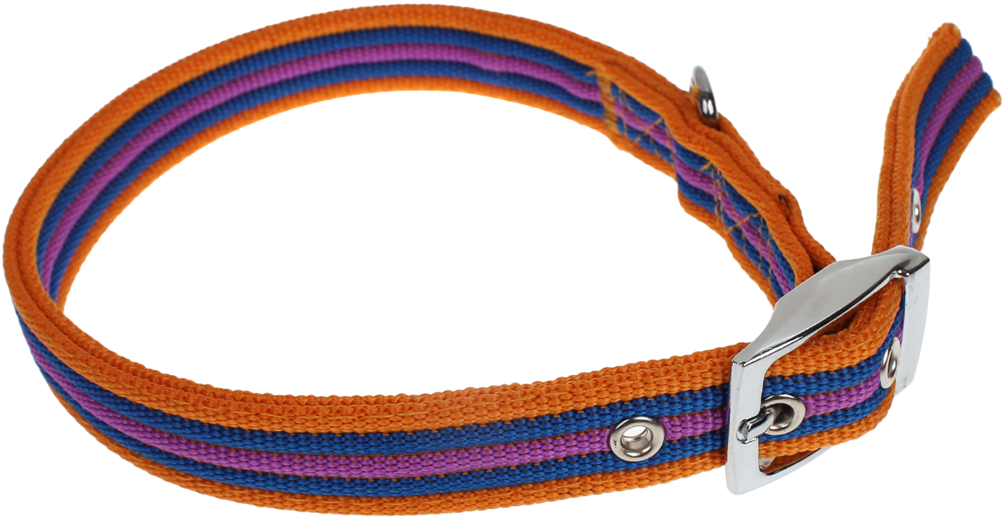 JC 橙彩頸帶(皮扣)