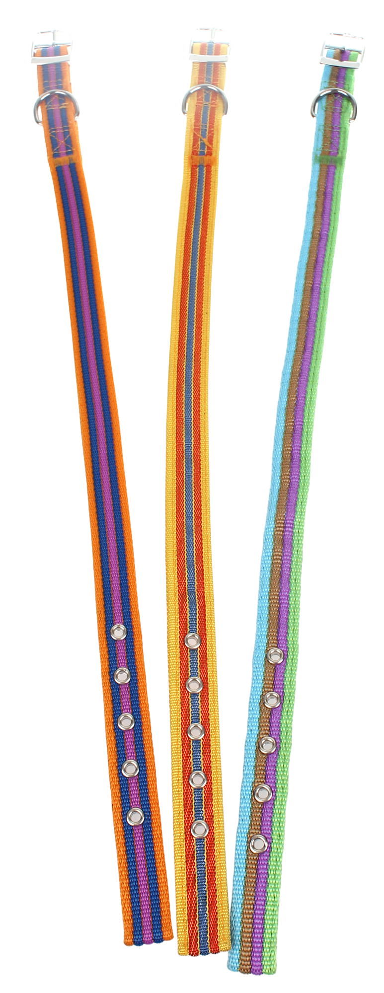 JC 橙彩頸帶(皮扣)