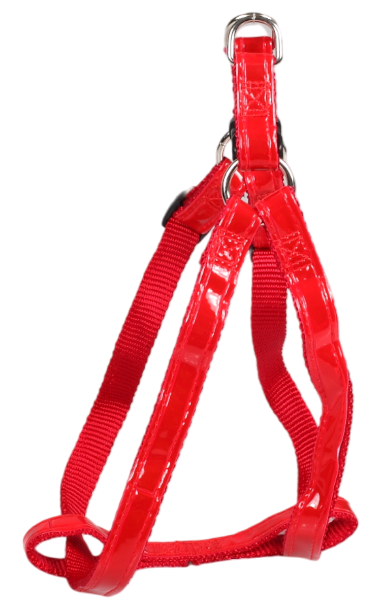 寵之友 反光按摩拉胸帶(A)