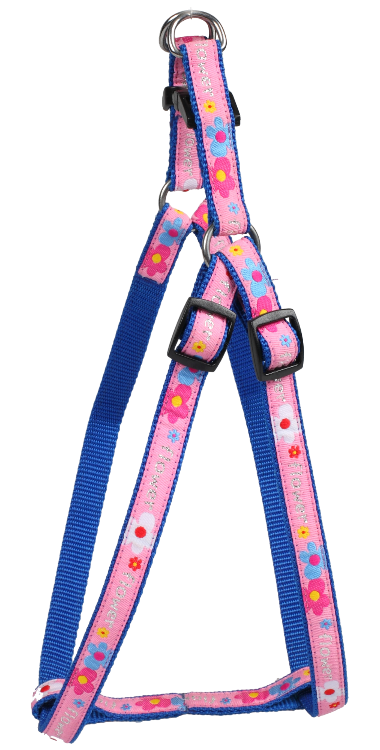 SW花圖案什色花邊拉胸帶套裝A字帶