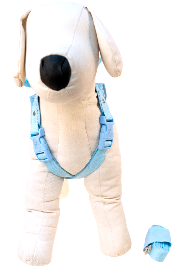 Lovabledog 小天使胸背帶套裝