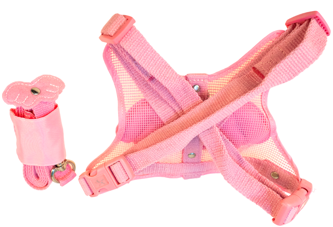 Lovabledog 小天使胸背帶套裝