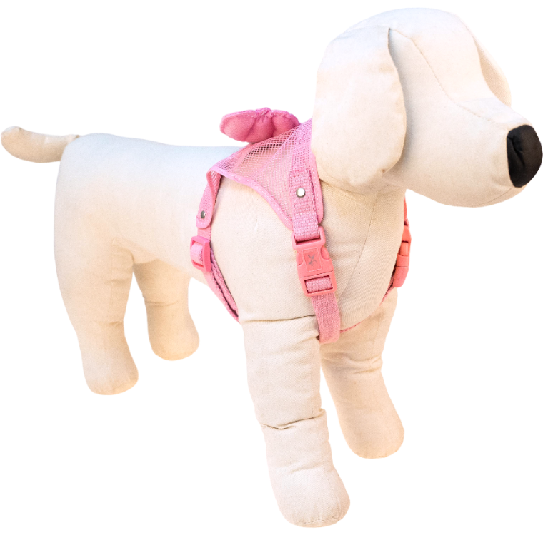 Lovabledog 小天使胸背帶套裝