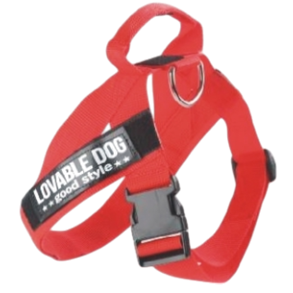 Lovabledog X 訓練胸帶 