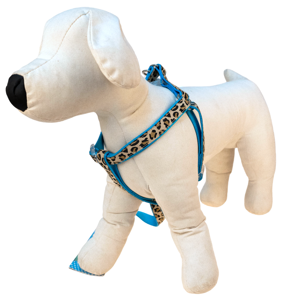 尼龍豹紋拉胸帶套裝