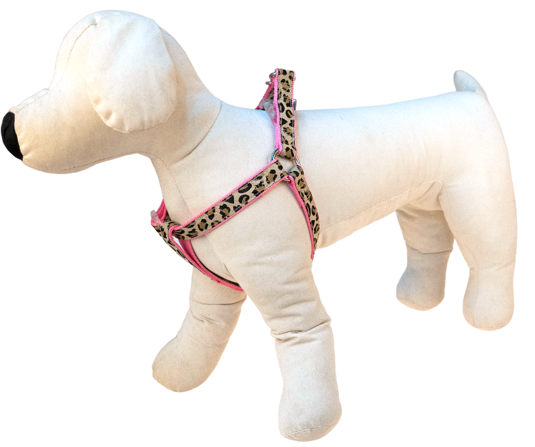 尼龍豹紋拉胸帶套裝