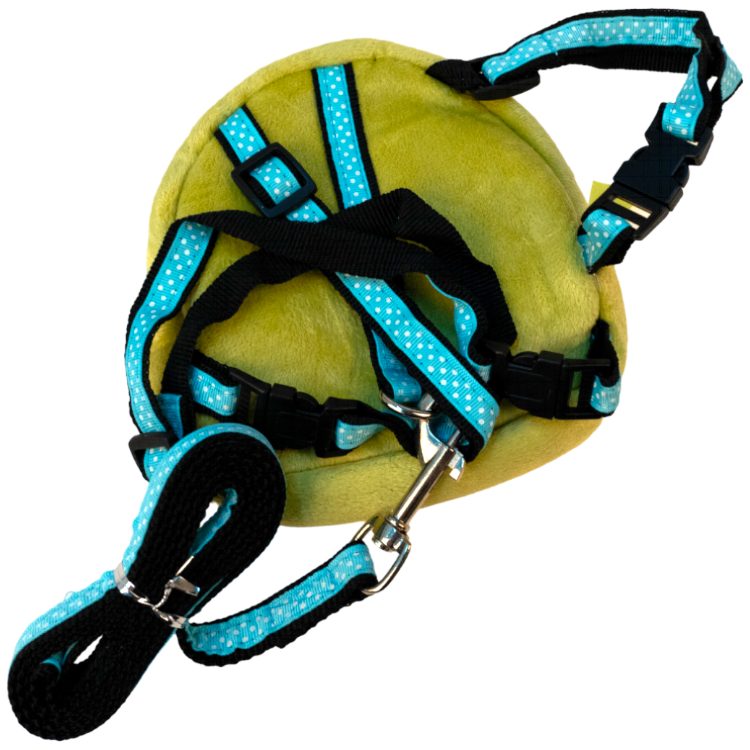 小萌青蛙自背包 (付引帶)