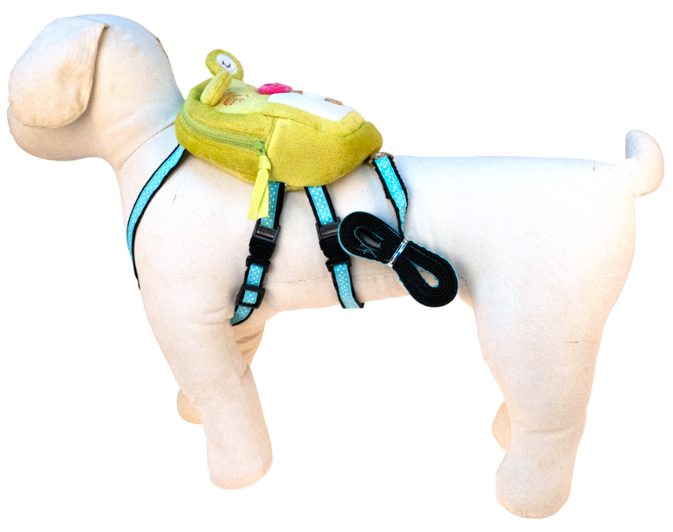 小萌青蛙自背包 (付引帶)