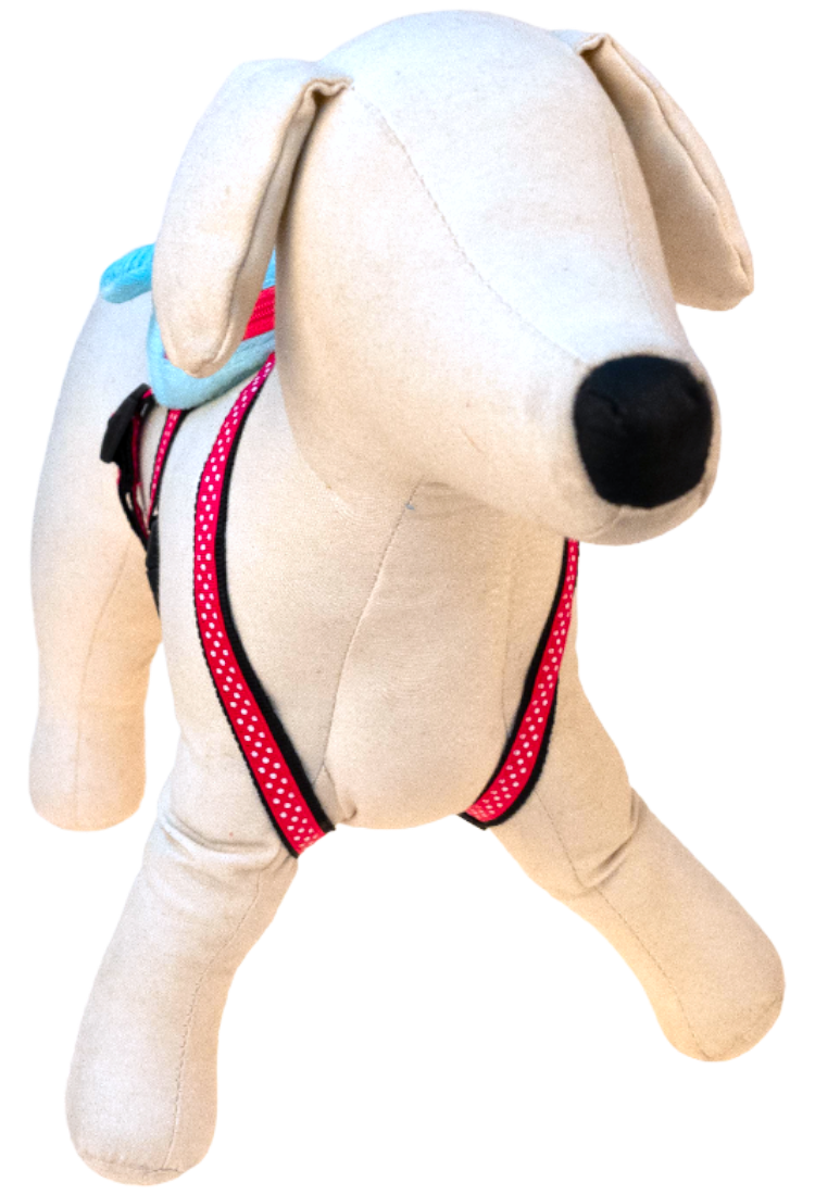 小萌企鵝自背包 (付引帶)