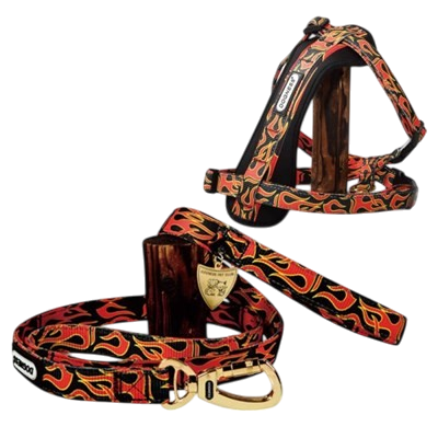 DOGNESS 火焰反光特多龍舒適淨胸帶背帶