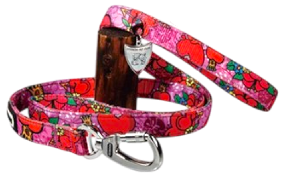 DOGNESS 愛心反光特多龍舒適淨胸帶背帶