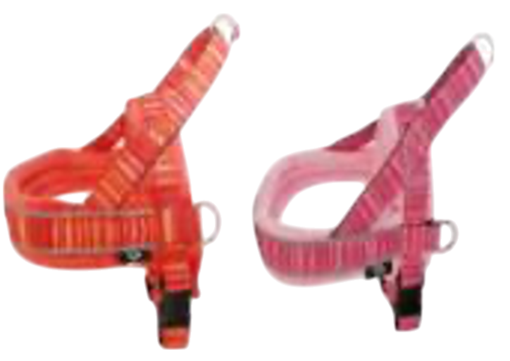 MC F-302000  彩間反光條透氣3D網布內墊 防衝爆隨行訓練胸帶(配前扣)