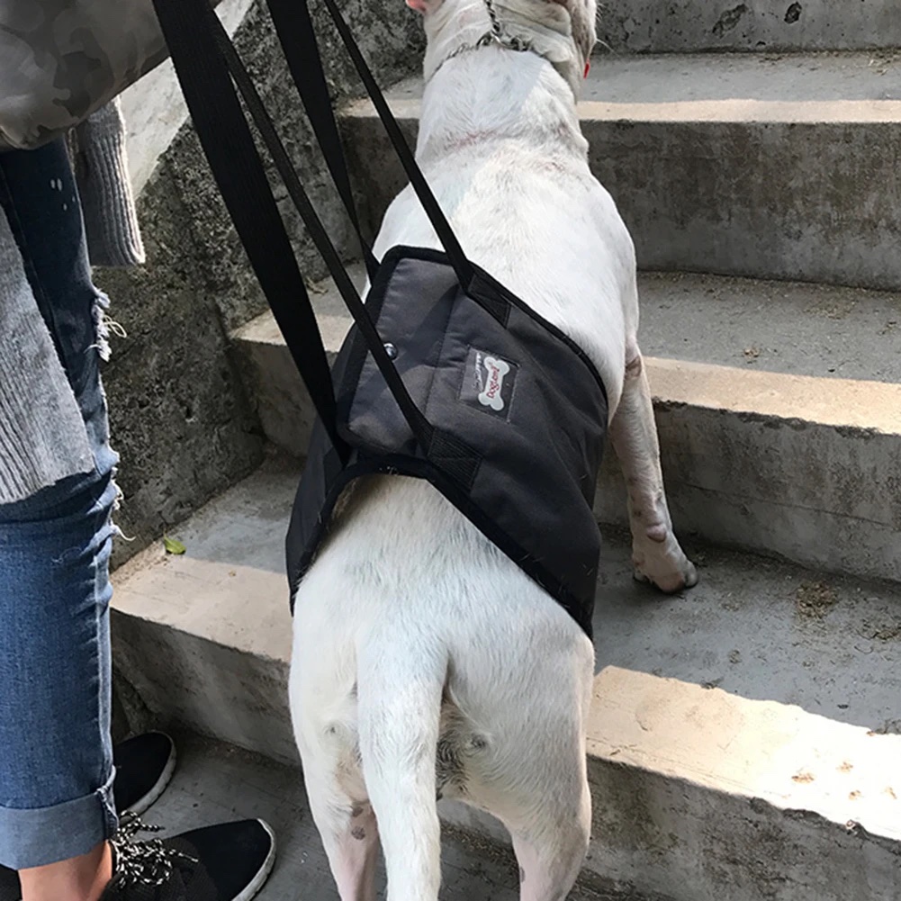 DogLemi牛津布狗狗助行帶