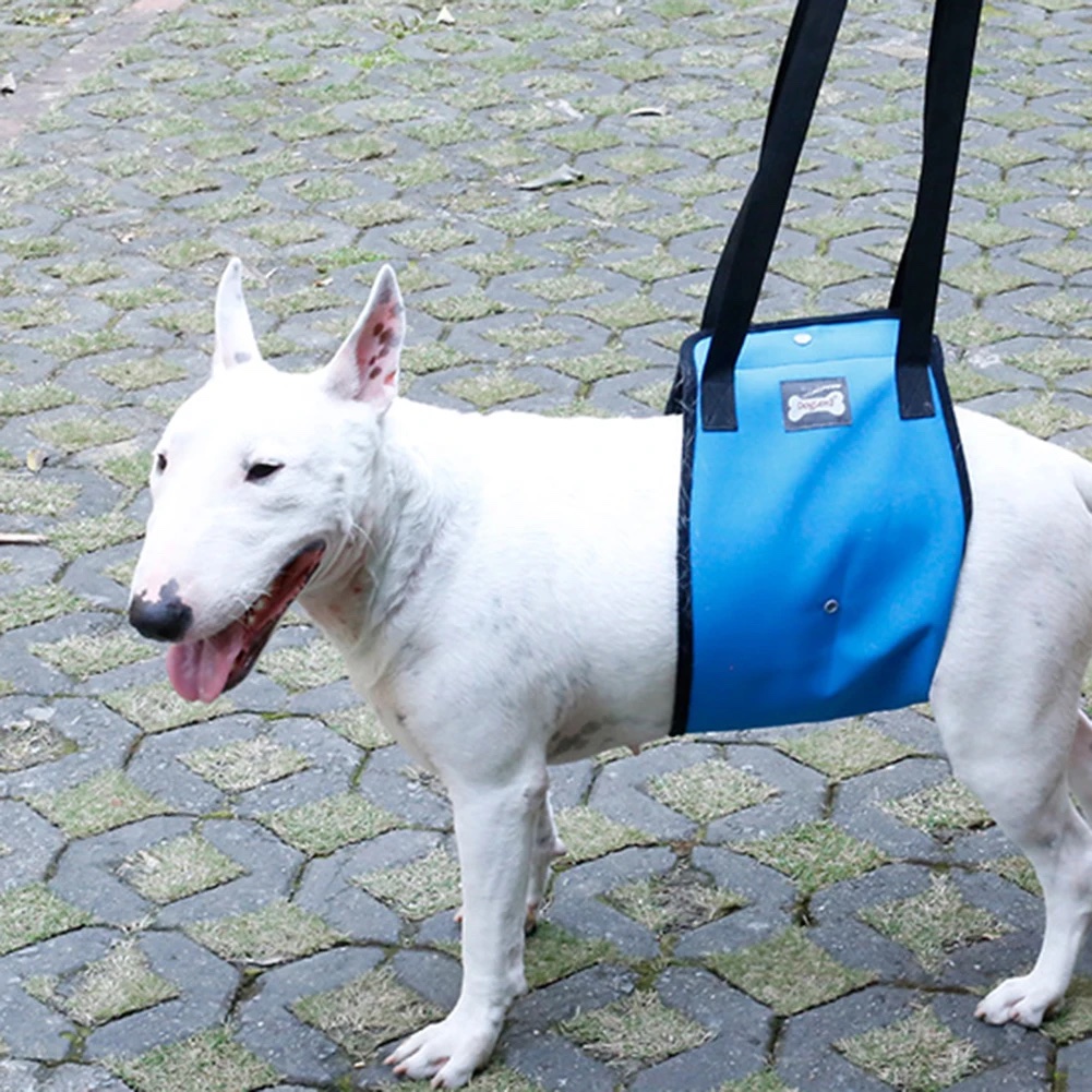 DogLemi牛津布狗狗助行帶
