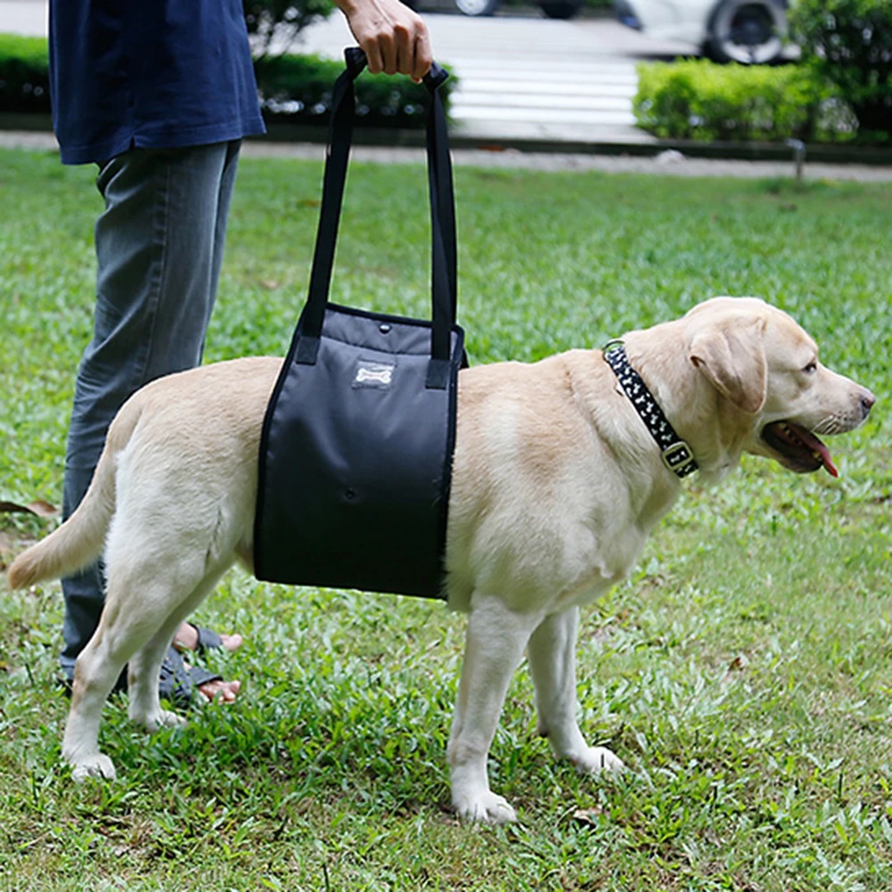 DogLemi牛津布狗狗助行帶