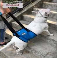 DogLemi牛津布狗狗助行帶