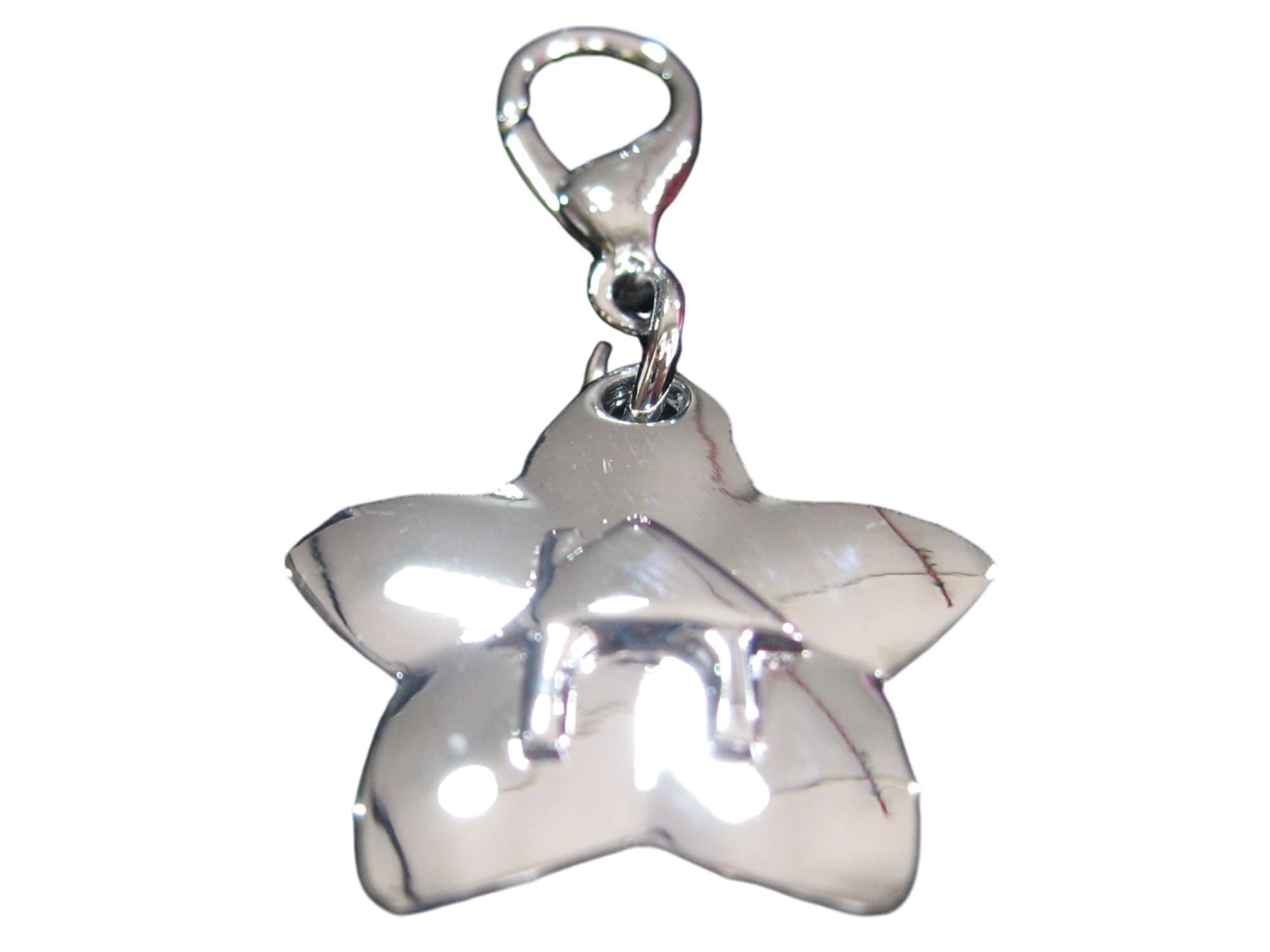 寵物星型吊牌 屋