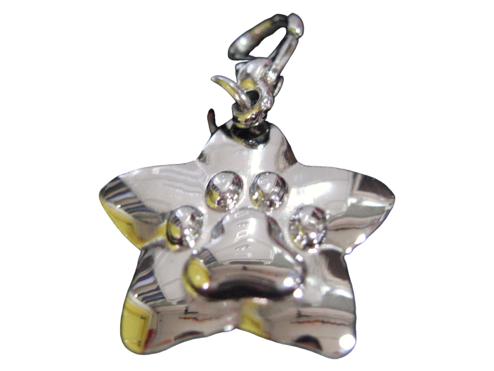 寵物星型吊牌 屋