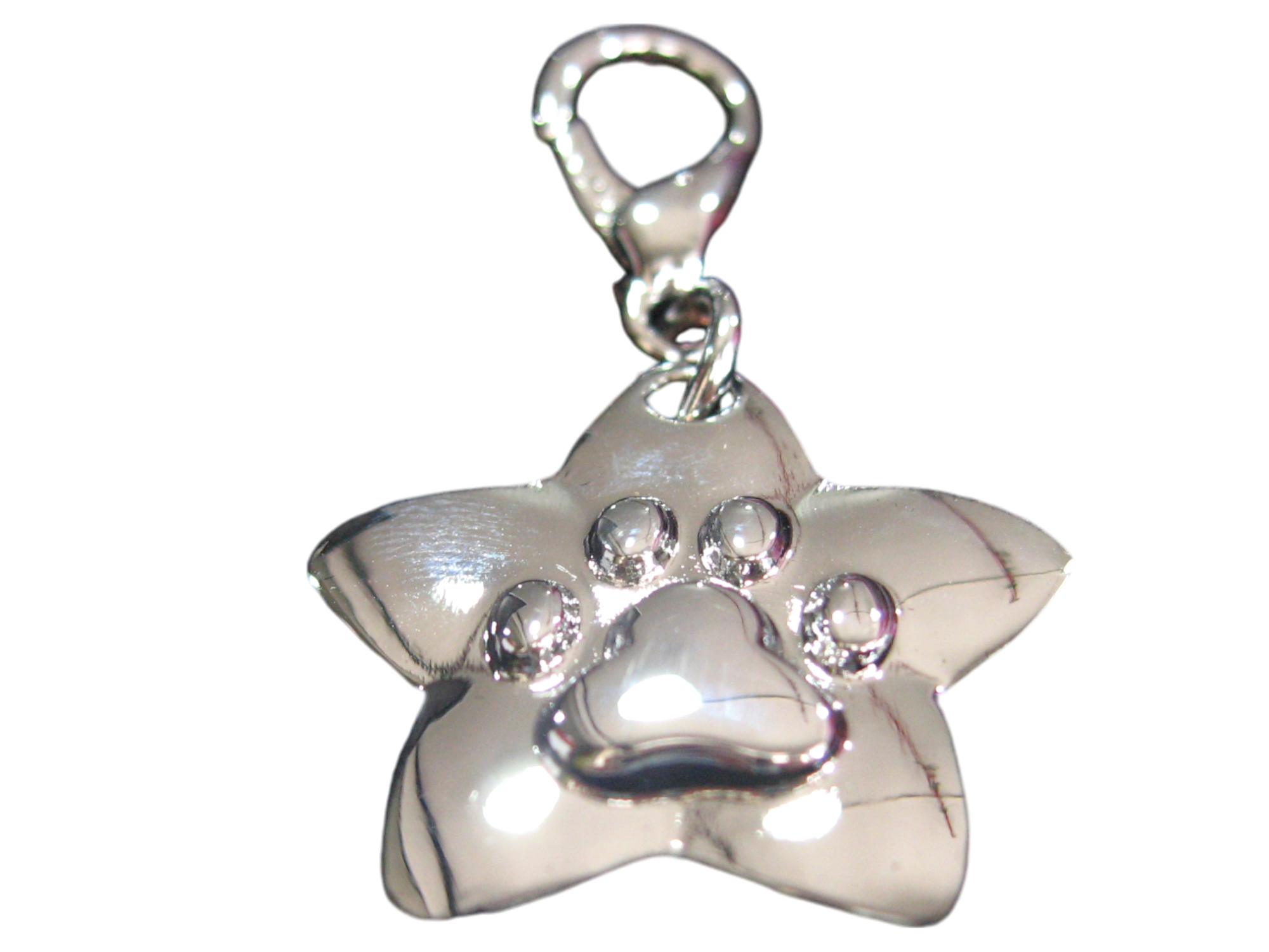 寵物星型吊牌 屋