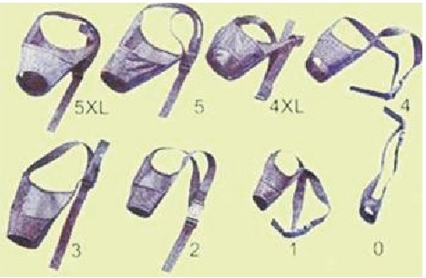 寵之友高透氣尼龍口罩