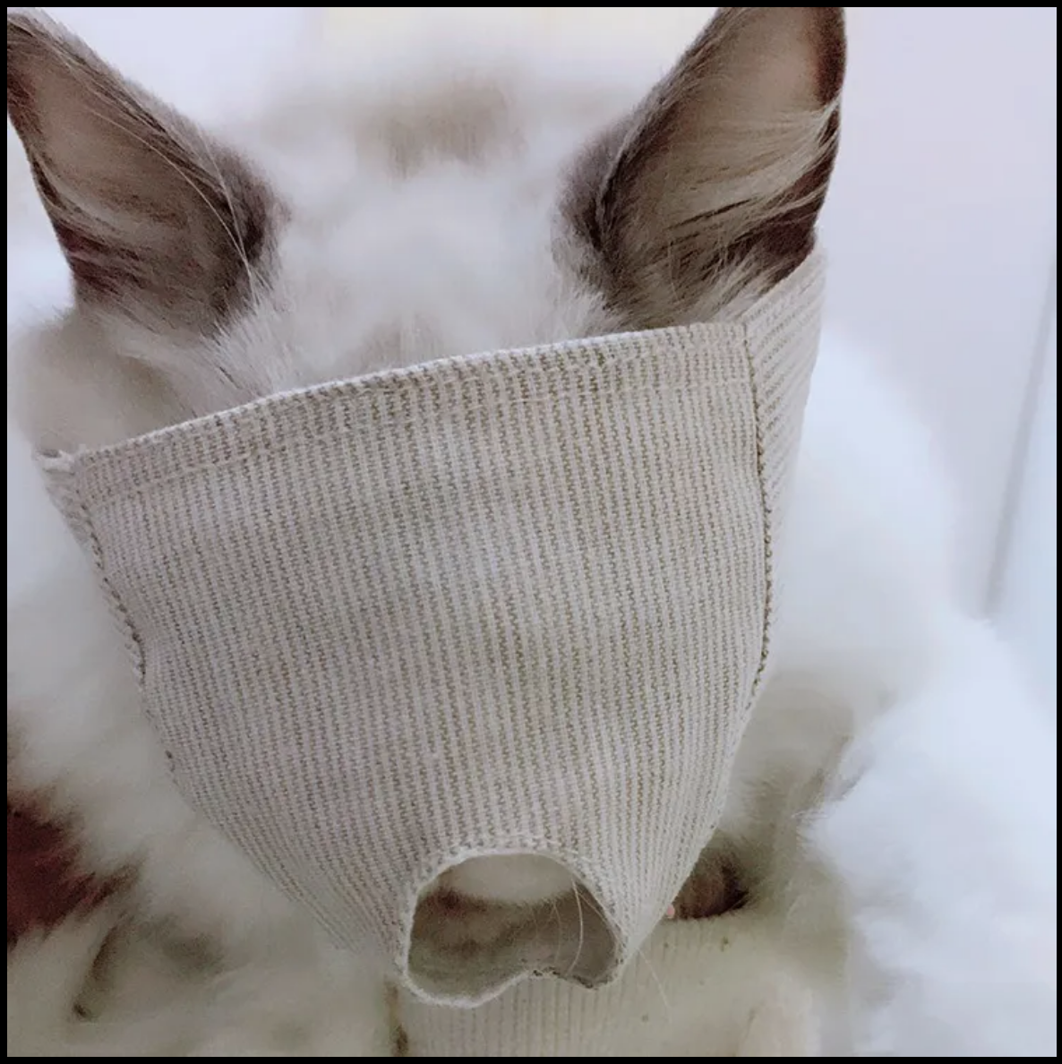 布質貓面罩(遮眼版)