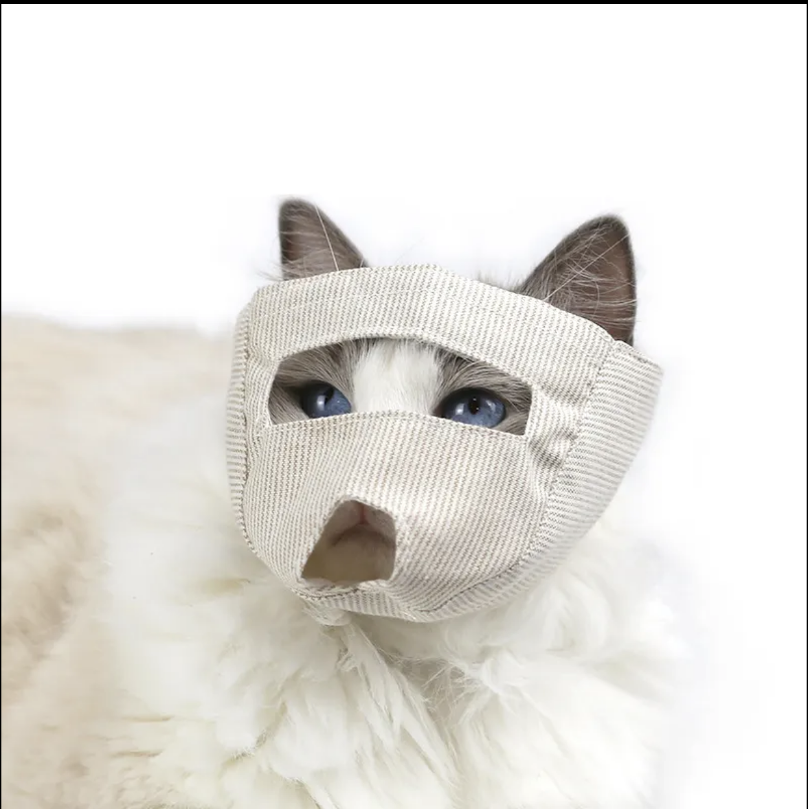 布質貓面罩(露眼版)