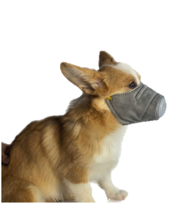 防霧霾寵物口罩(三層)呼吸閥3個/盒