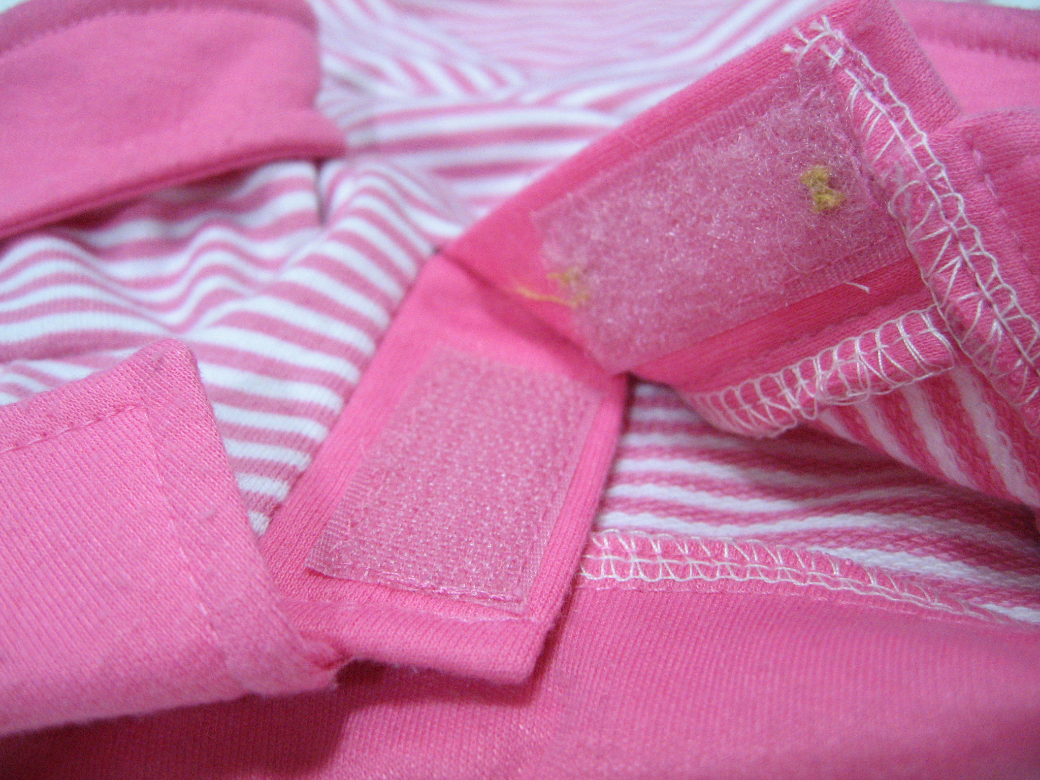 寵之友 橫間  T-Shirt (日)