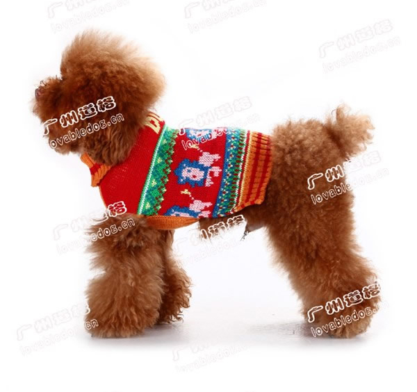 Lovabledog 馬戲團獅子毛衣