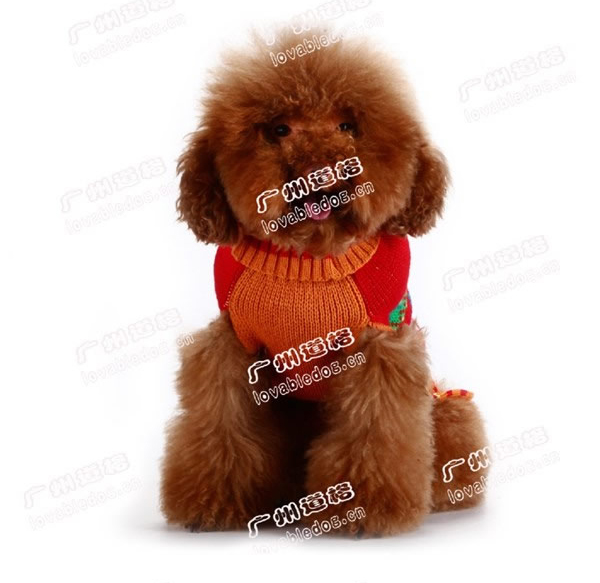 Lovabledog 馬戲團獅子毛衣