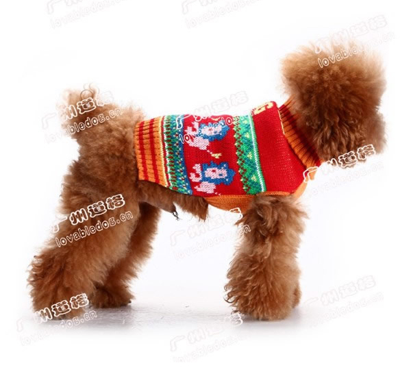 Lovabledog 馬戲團獅子毛衣