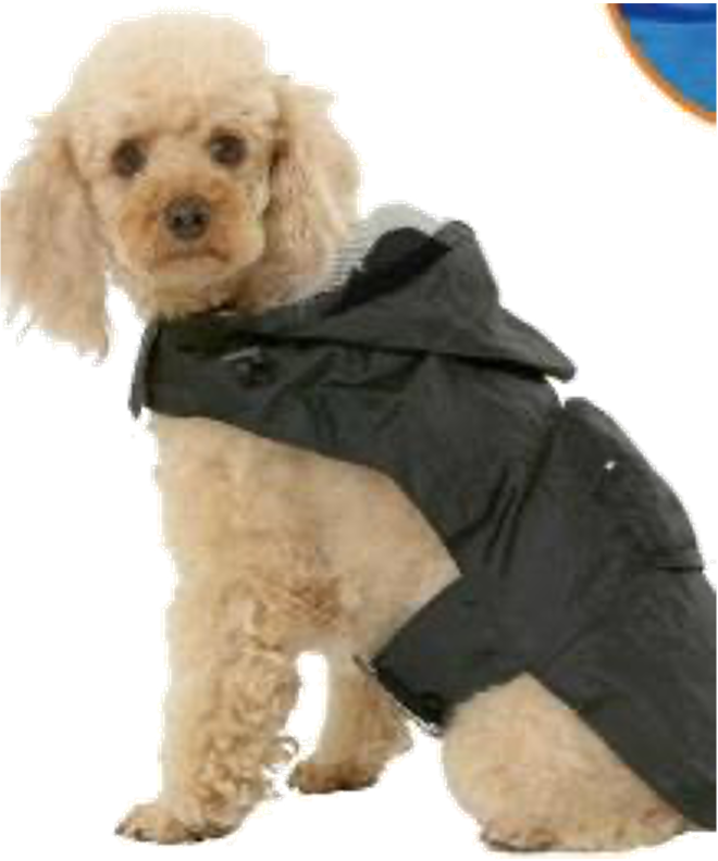 DM30073DOGLEMI素色披風雨衣