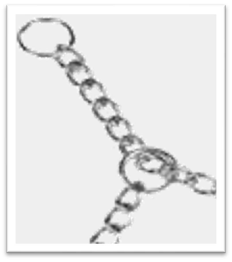 高級不銹鋼 CHOKE CHAIN