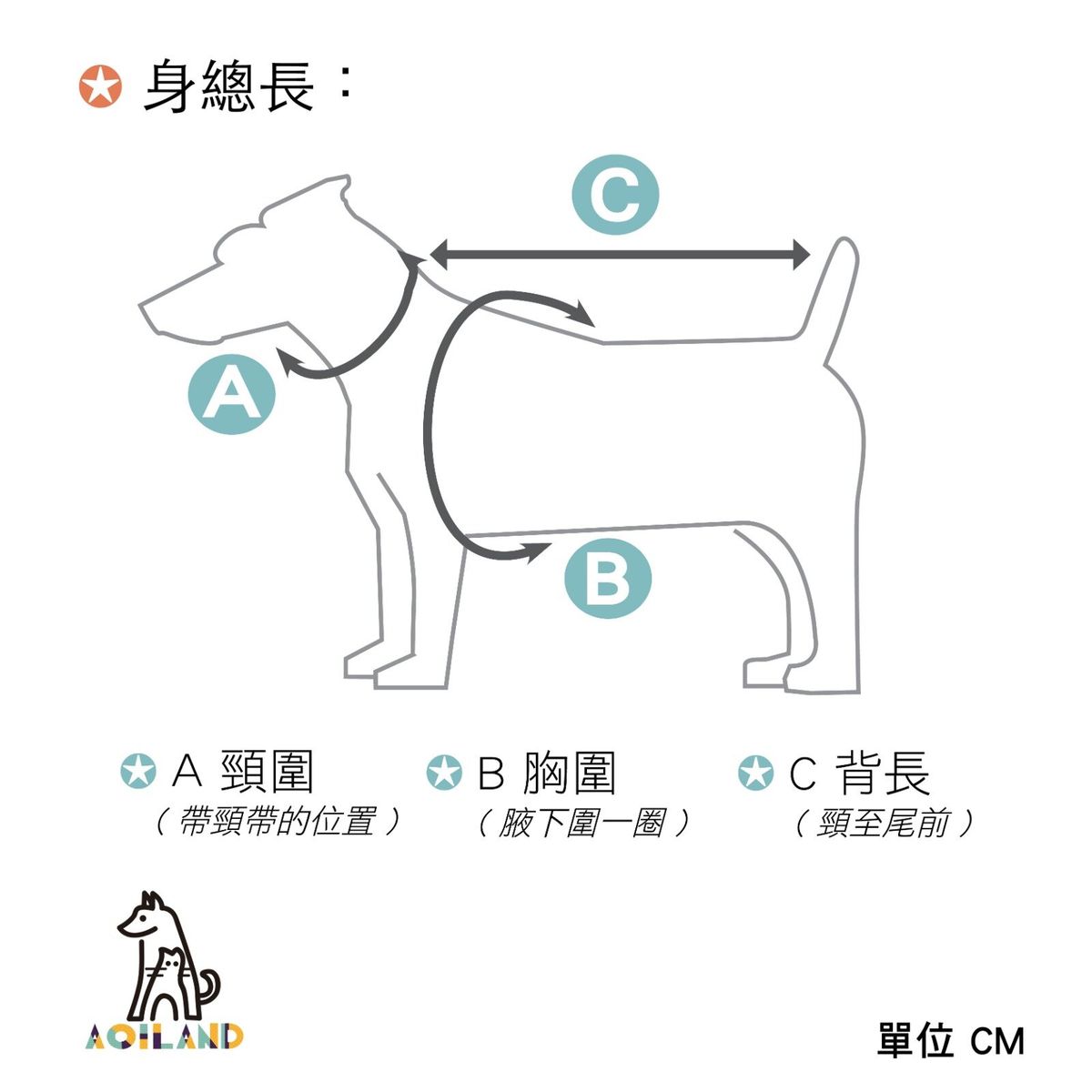 幼貓盲盒福袋8件組合
