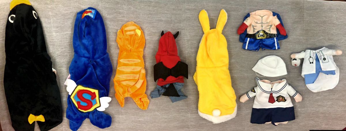 大型犬盲盒福袋8件組合