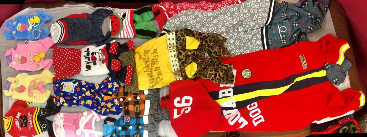 大型犬盲盒福袋8件組合