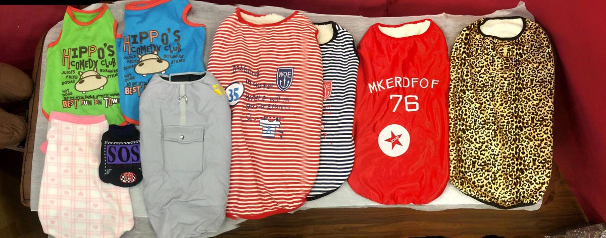 大型犬盲盒福袋8件組合