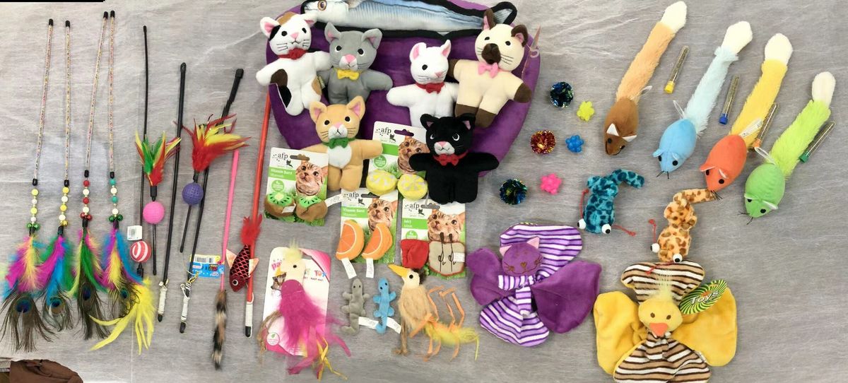 幼貓盲盒福袋8件組合