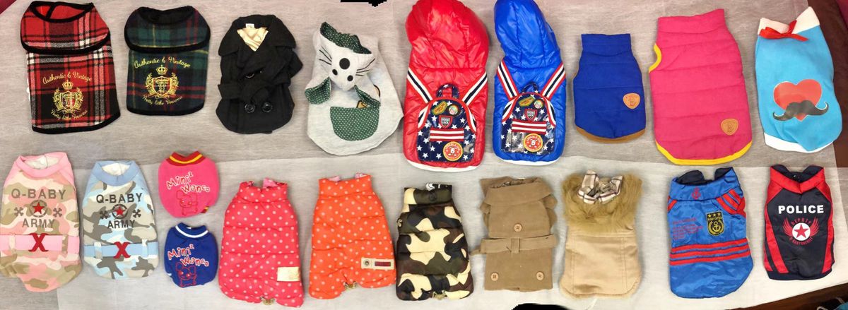 大型犬盲盒福袋8件組合