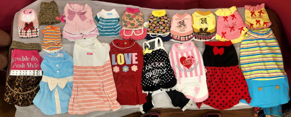 大型犬盲盒福袋8件組合