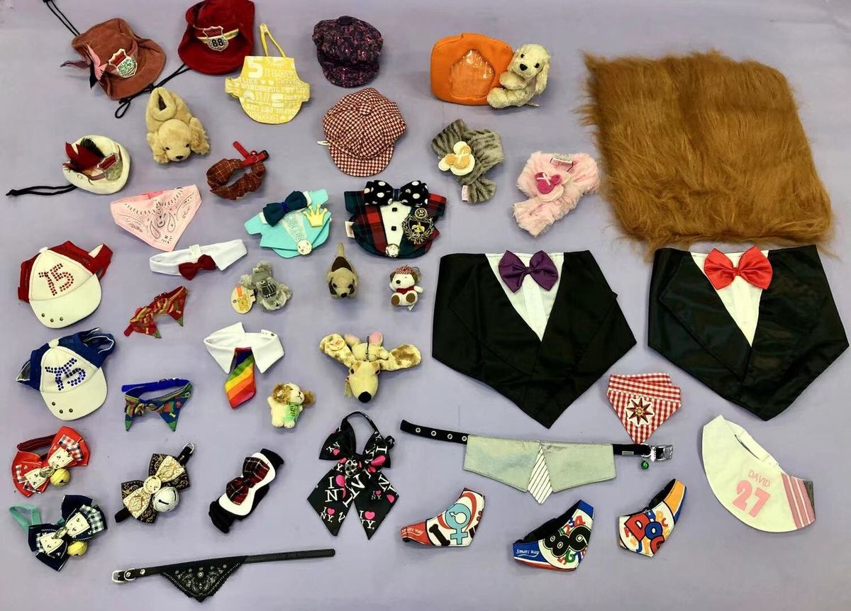 小型犬盲盒福袋8件組合