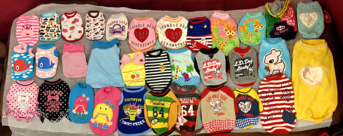 大型犬盲盒福袋8件組合