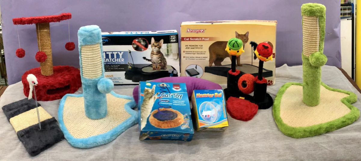 幼貓盲盒福袋8件組合